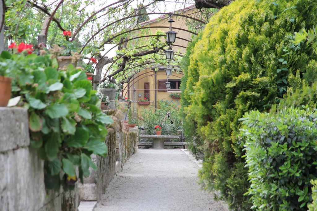 Residenza Dei Ricci Bed & Breakfast Chiusi Eksteriør bilde