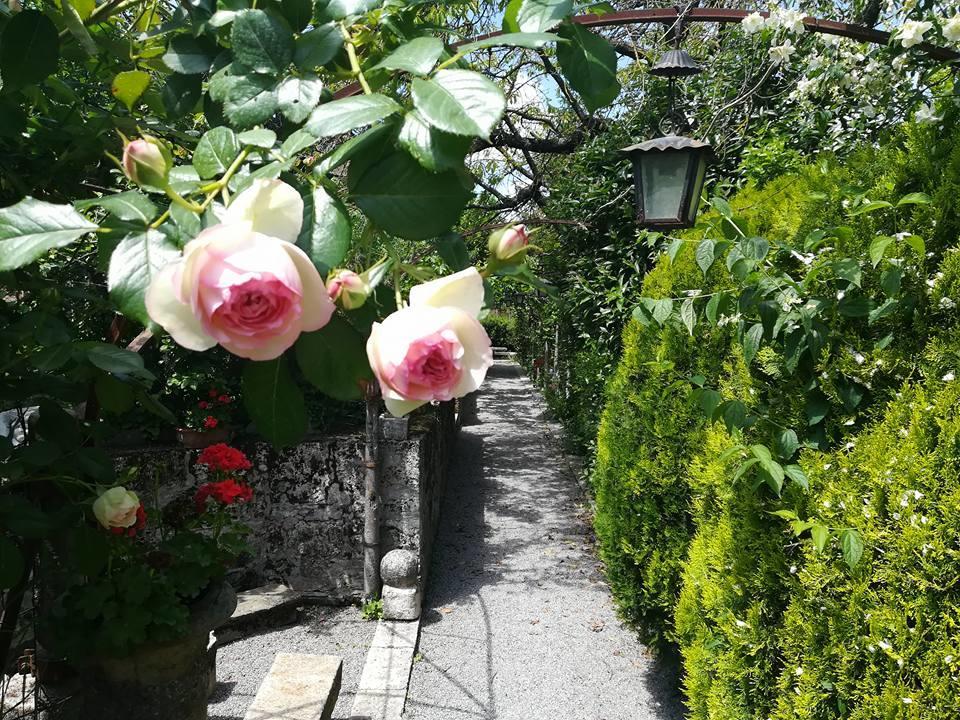 Residenza Dei Ricci Bed & Breakfast Chiusi Eksteriør bilde
